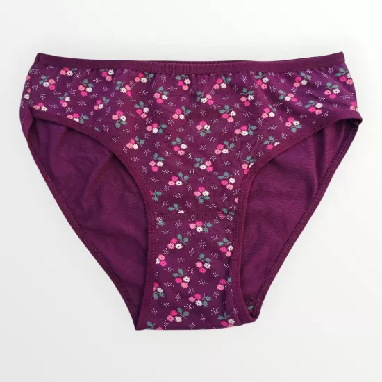 Celestia Desenli Bordo Bikini İç Çamaşırı