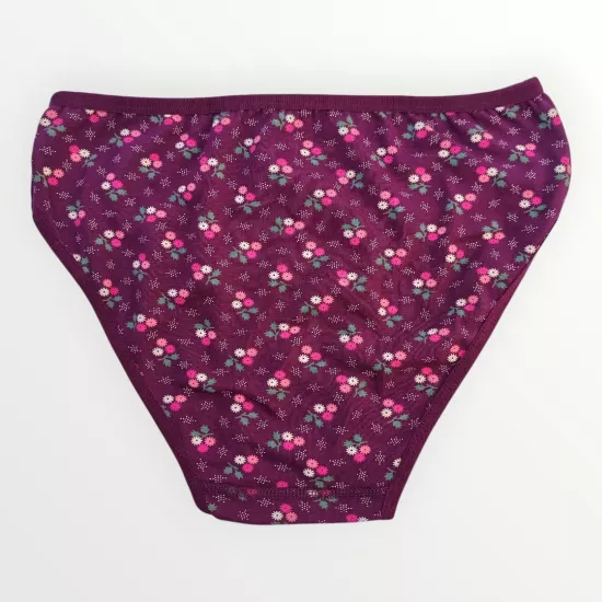 Celestia Desenli Bordo Bikini İç Çamaşırı