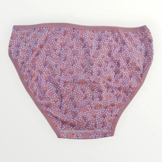 Celestia Desenli Pembe Bikini İç Çamaşırı